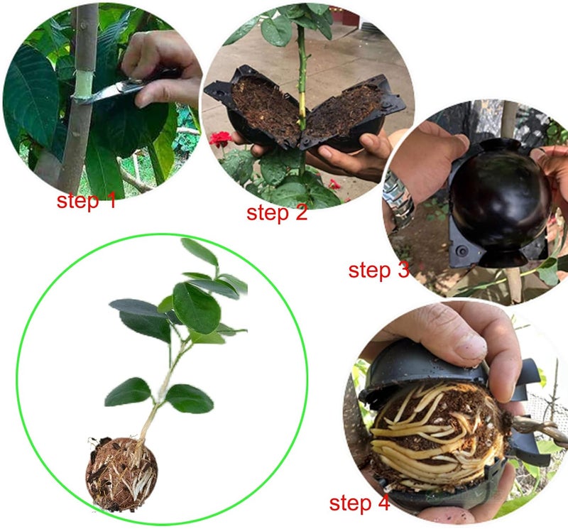 Lazzineer Tree Root Growing Box, Reusable Transparent Plants Asexual Reproduction Grafting Ball, High Pressure Air Layering Pods Propagation Kit (10pcs Small) - Image 3